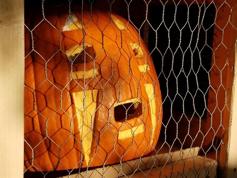 No Face O Lantern, Halloween 2019